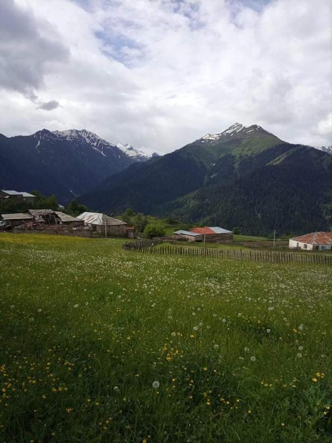 Shorena'S Homestay Tsvirmi Екстер'єр фото