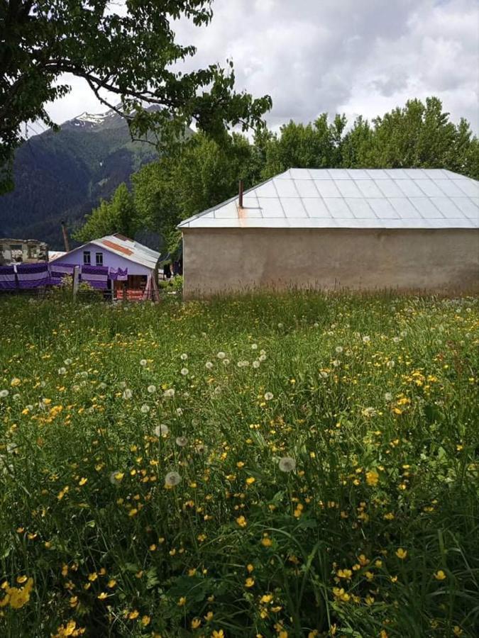 Shorena'S Homestay Tsvirmi Екстер'єр фото