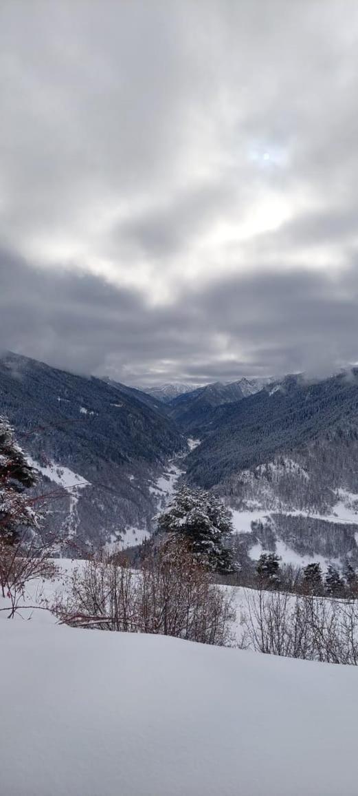 Shorena'S Homestay Tsvirmi Екстер'єр фото