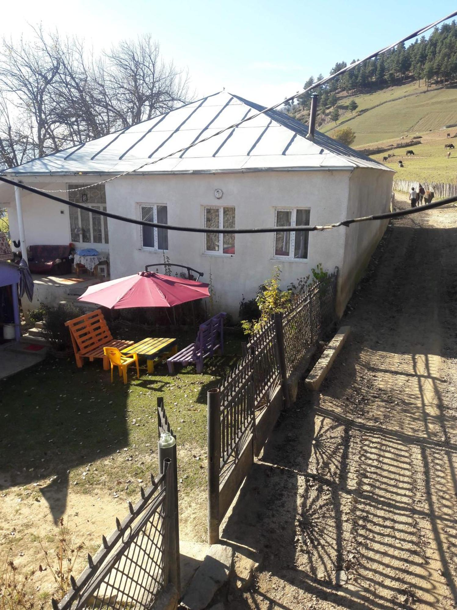 Shorena'S Homestay Tsvirmi Екстер'єр фото