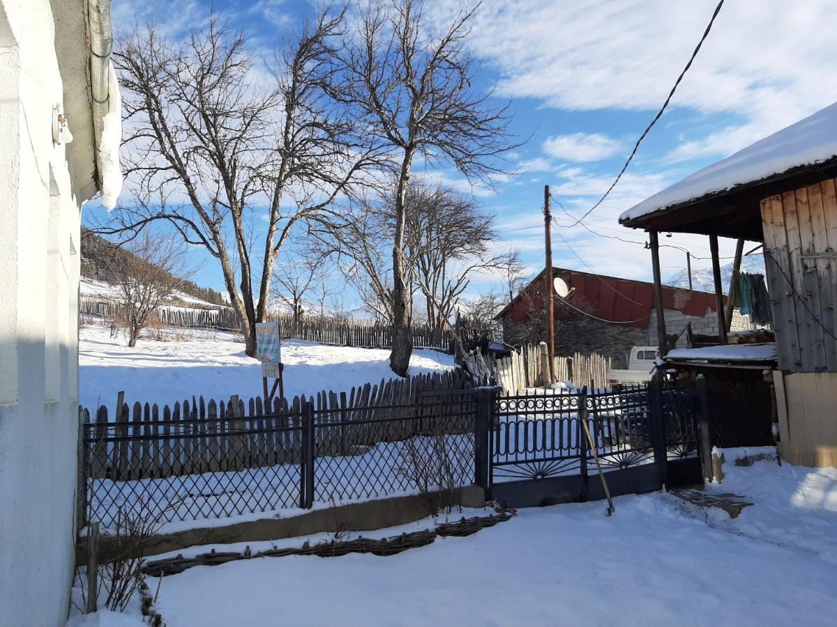 Shorena'S Homestay Tsvirmi Екстер'єр фото