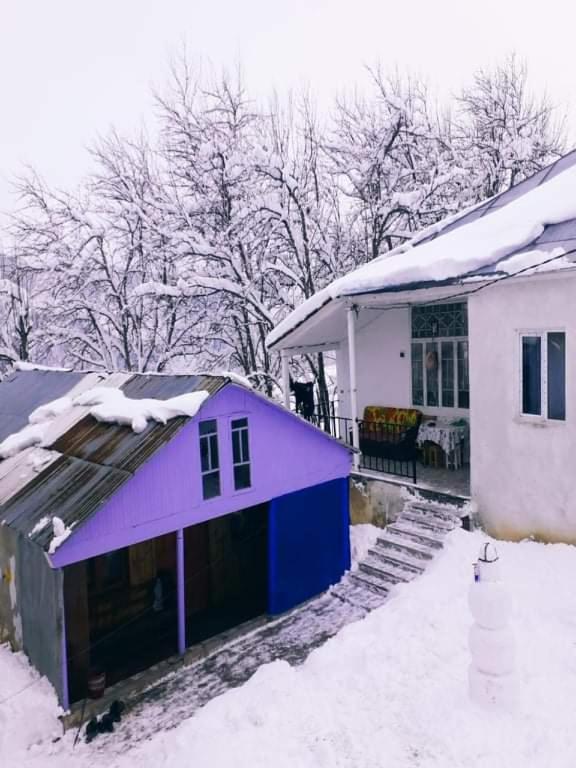 Shorena'S Homestay Tsvirmi Екстер'єр фото