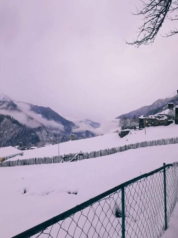 Shorena'S Homestay Tsvirmi Екстер'єр фото