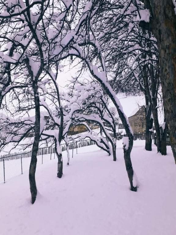 Shorena'S Homestay Tsvirmi Екстер'єр фото